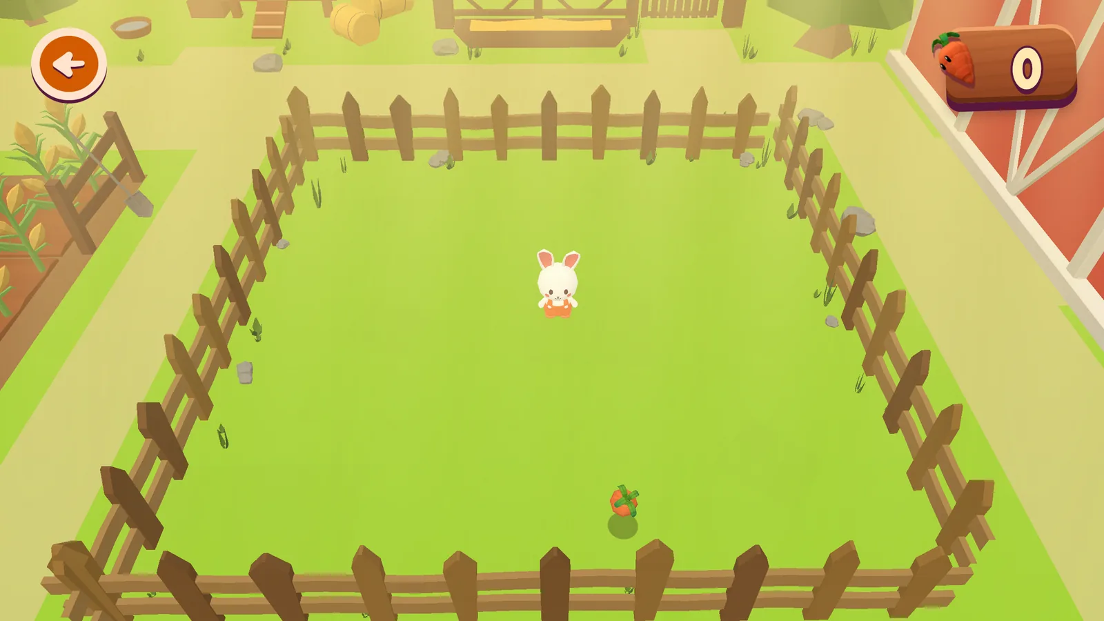 The bunny on the farm field